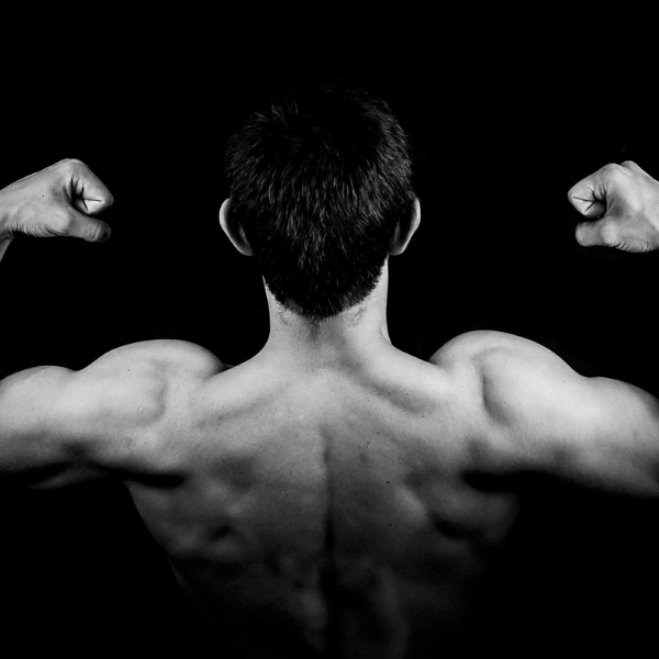 The Three Most Common Overlooked Back Exercises + A Short Primer on Back Training